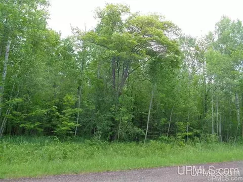 tbd Quarterline, Ontonagon, MI 49953