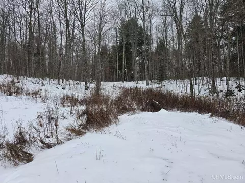 tbd Us2, Iron River, MI 49935