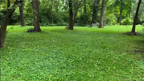 0 Woodland, East China, MI 48054