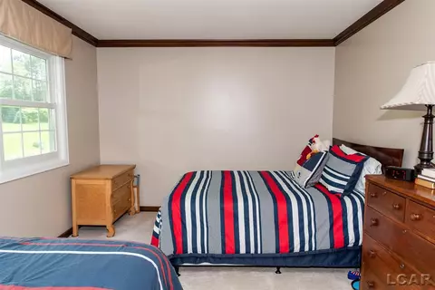 6 Birnwick, Adrian, MI 49221 photo 35