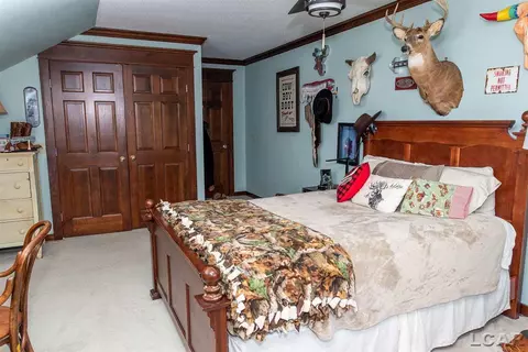 6 Birnwick, Adrian, MI 49221 photo 47