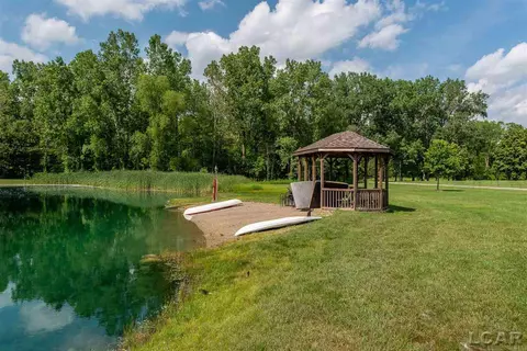 6 Birnwick, Adrian, MI 49221 photo 53