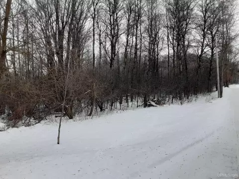 tbd 284 Acres Off Vanderhagen, Ironwood, MI 49938