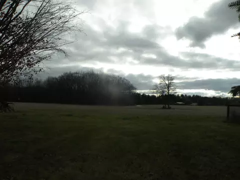 9150 E Lytle, Lennon, MI 48449 photo 28