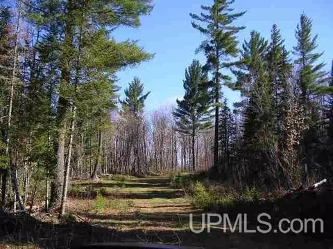 240 Acres Off Schultz Apt 4611433 -8768188 #46.11433, -87.68188, Ralph, MI 49877