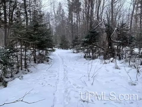 tbd Rabbit Bay, Lake Linden, MI 49945