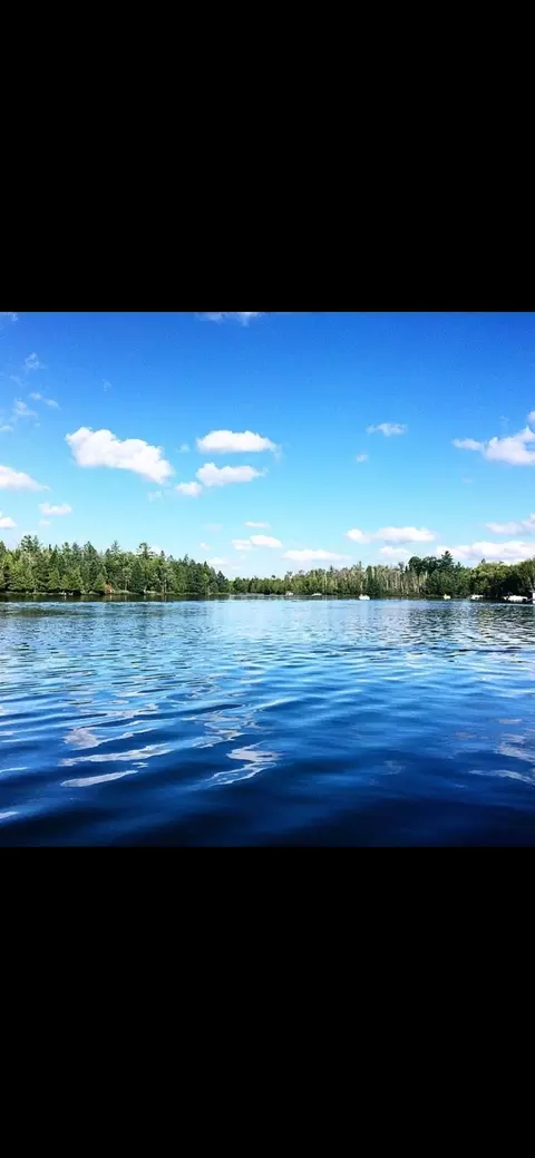 tbd Oak Leaf, Lake, MI 48632