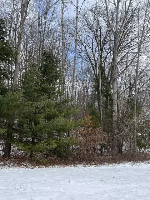 tbd Oak Leaf, Lake, MI 48632 photo 20