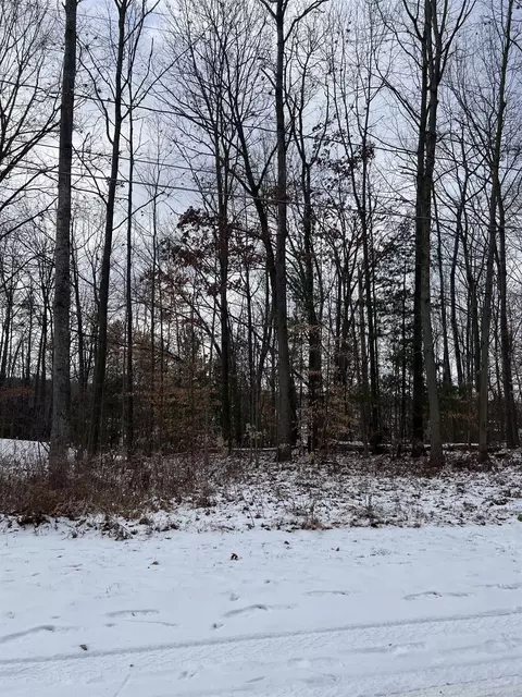 tbd Oak Leaf, Lake, MI 48632 photo 10