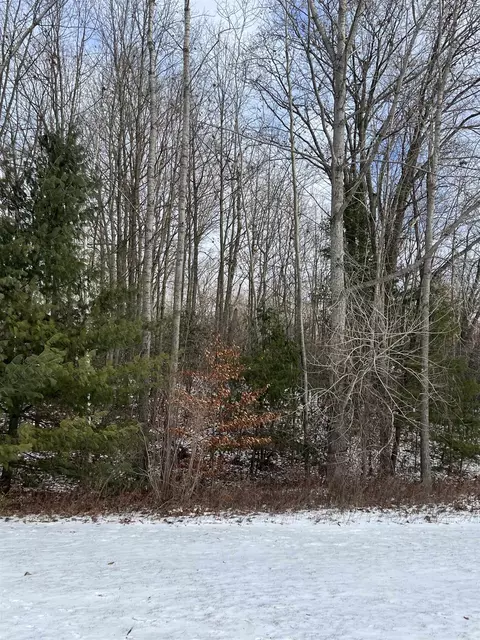 tbd Oak Leaf, Lake, MI 48632 photo 21