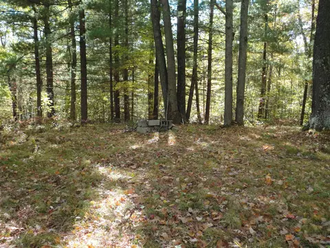 00 Tbd Firelane Trl, Lake George, MI 48633