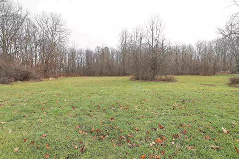 Springborrow, Flint, MI 48532 photo 5