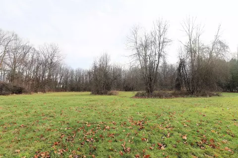 Springborrow, Flint, MI 48532 photo 7