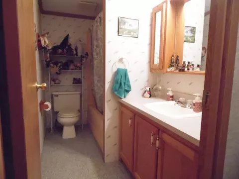 Bath - 1543 N Cedar Riv, Gladwin, MI 48624 photo 5 of 6