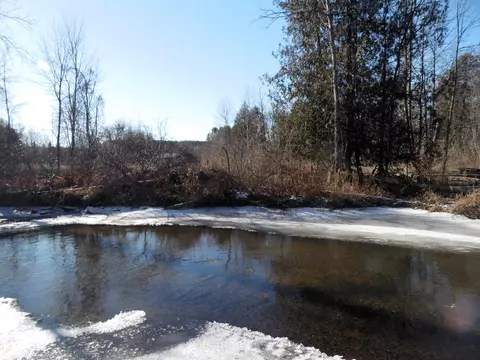 View/Area - 1543 N Cedar Riv, Gladwin, MI 48624 photo 2 of 3