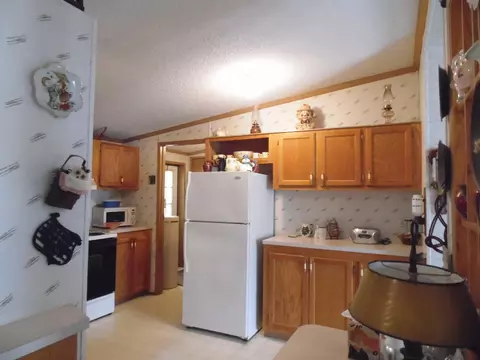 Kitchen - 1543 N Cedar Riv, Gladwin, MI 48624 photo 3 of 5