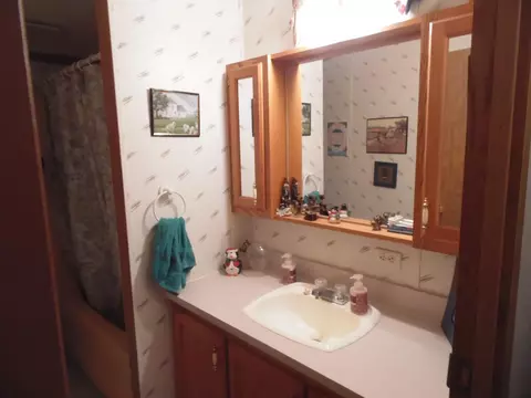 Bath - 1543 N Cedar Riv, Gladwin, MI 48624 photo 6 of 6