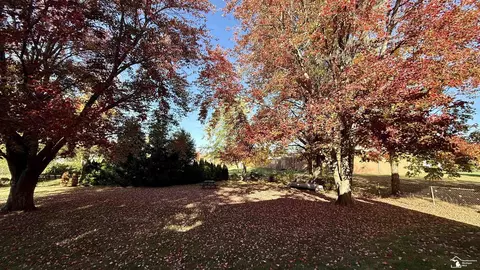 Exterior - 1624 N Custer, Monroe, MI 48162 photo 12 of 12