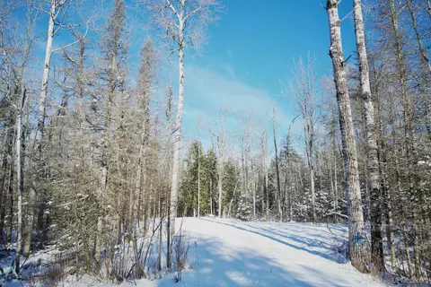 tbd County 444, Rock, MI 49880