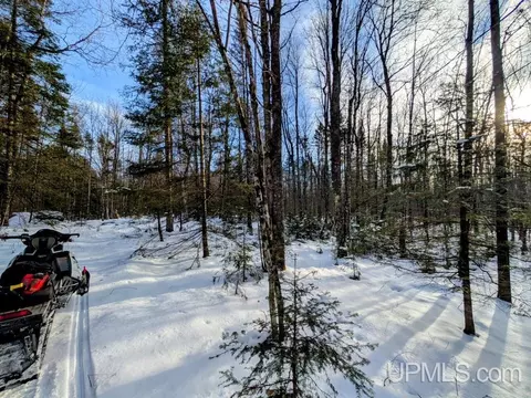 80 Acres Ffr 4500, Watersmeet, MI 49969