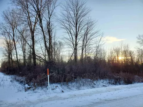 Vl Ubly/stone, Snover, MI 48472 photo 8
