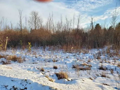 Vl Ubly/stone, Snover, MI 48472 photo 5