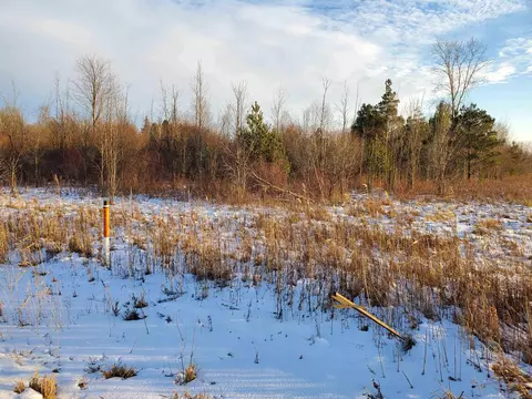 Vl Ubly/stone, Snover, MI 48472 photo 7
