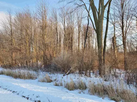 Vl Ubly/stone, Snover, MI 48472 photo 3