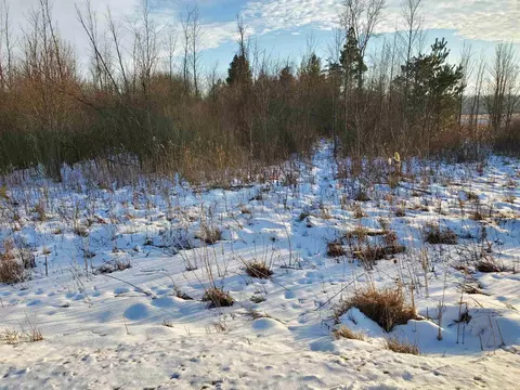 Vl Ubly/stone, Snover, MI 48472 photo 6