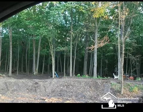 11663 Stewart, Dundee, MI 48131