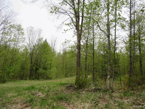 14108 Fire Tower #LAT: 46.49372 LON: -88.69894, Sidnaw, MI 49962