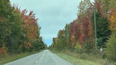 0 Old Cp, Manistee, MI 49660 photo 14