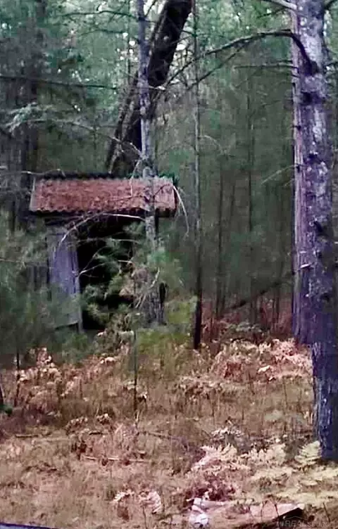 0 Old Cp, Manistee, MI 49660 photo 17