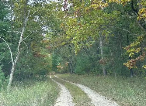 0 Old Cp, Manistee, MI 49660 photo 4
