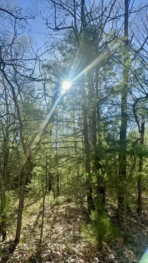 0 Old Cp, Manistee, MI 49660 photo 2