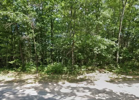 8656 N Blair, Bitely, MI 49309
