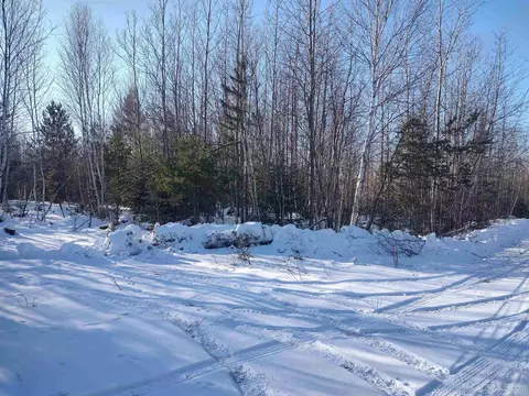 20 Acres Co Rd Ft, Republic, MI 49814