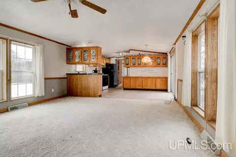 Living - n2705 River Drive, Wallace, MI 49893 photo 4 of 4