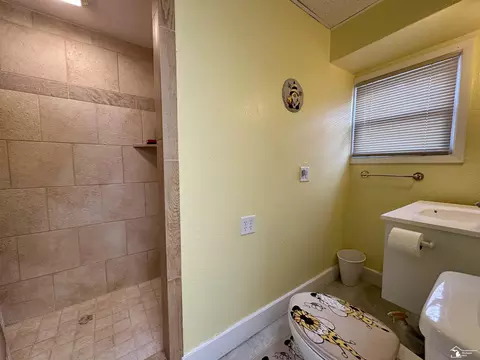 9134 Lewis, Temperance, MI 48182 photo 22