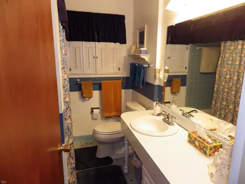 Bath - 25828 Pine Vw, Warren, MI 48091 photo 1 of 2