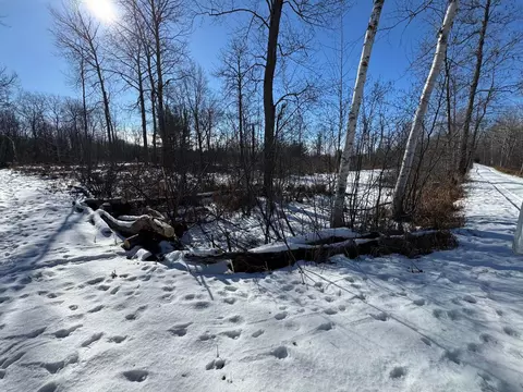 tbd Hook, Alger, MI 48610