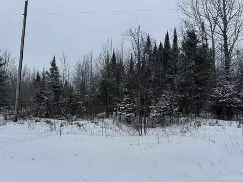 tbd Cr Sm, Cornell, MI 49818 photo 9