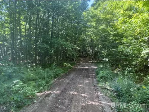 94 Acres Peter White, Deerton, MI 49822 photo 7