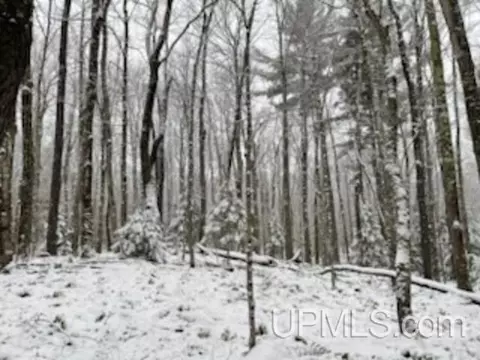 94 Acres Peter White, Deerton, MI 49822 photo 20