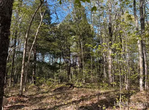 94 Acres Peter White, Deerton, MI 49822 photo 8