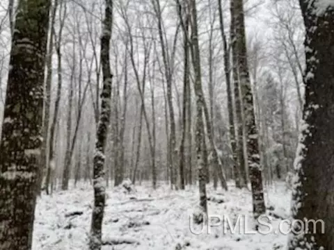 94 Acres Peter White, Deerton, MI 49822 photo 21