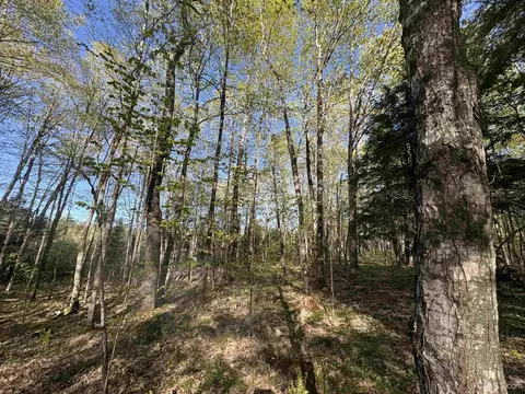 94 Acres Peter White, Deerton, MI 49822 photo 12
