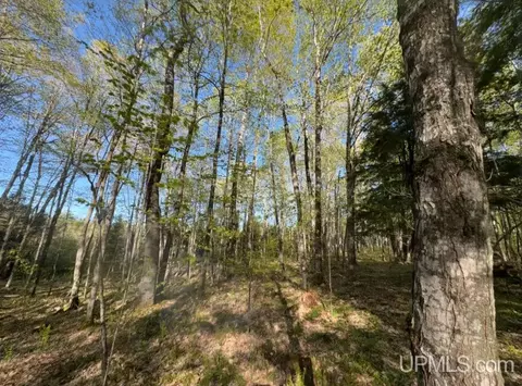 94 Acres Peter White, Deerton, MI 49822 photo 9