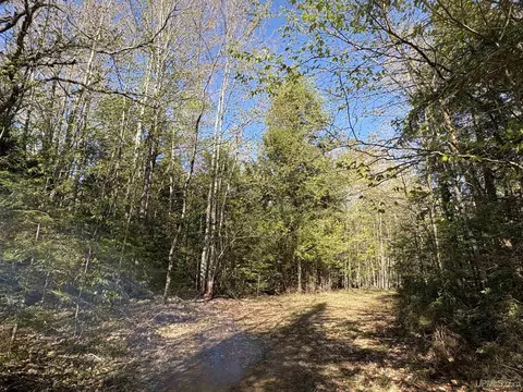 94 Acres Peter White, Deerton, MI 49822 photo 13