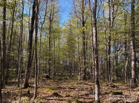 94 Acres Peter White, Deerton, MI 49822 photo 10